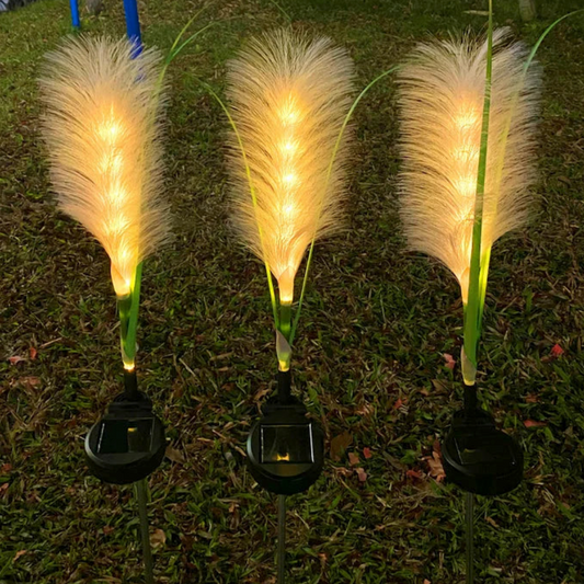 Solar Garden Lights – Decorative Outdoor Fibre Optic Lighting for Home